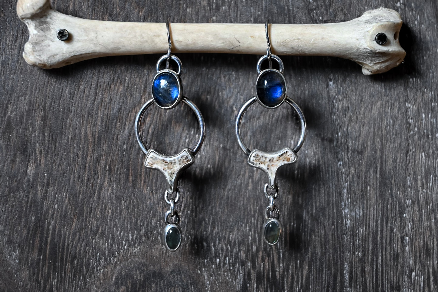 Polished Vertebrae & Labradorite Earrings