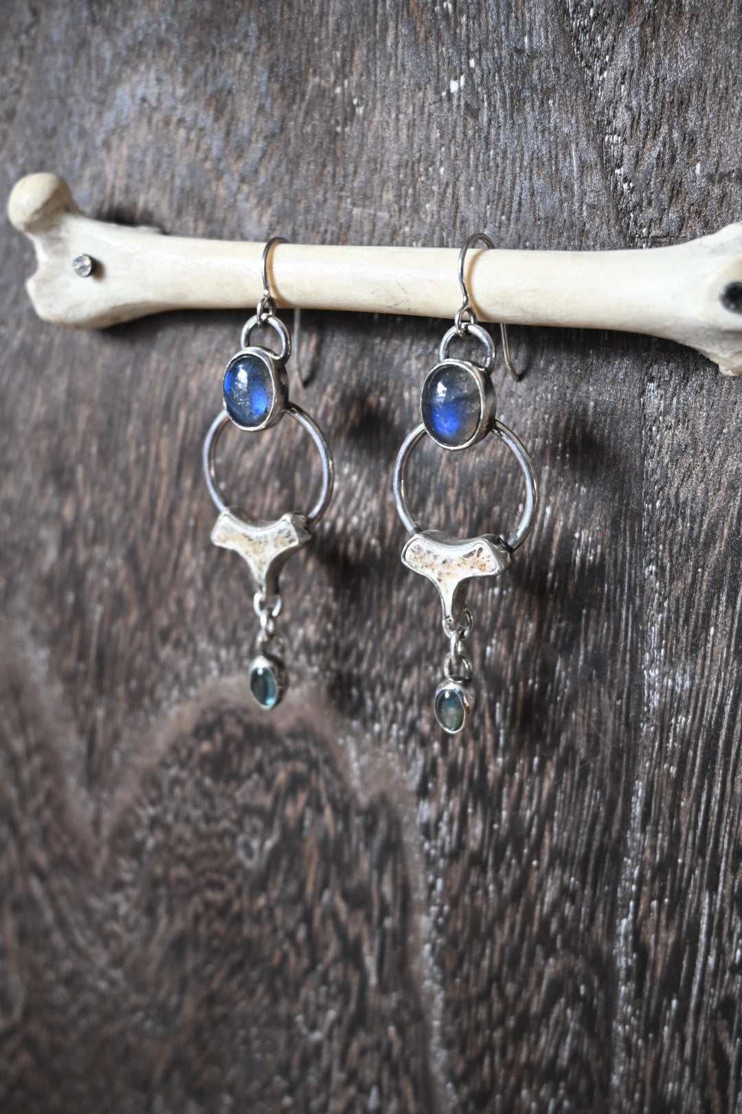 Polished Vertebrae & Labradorite Earrings