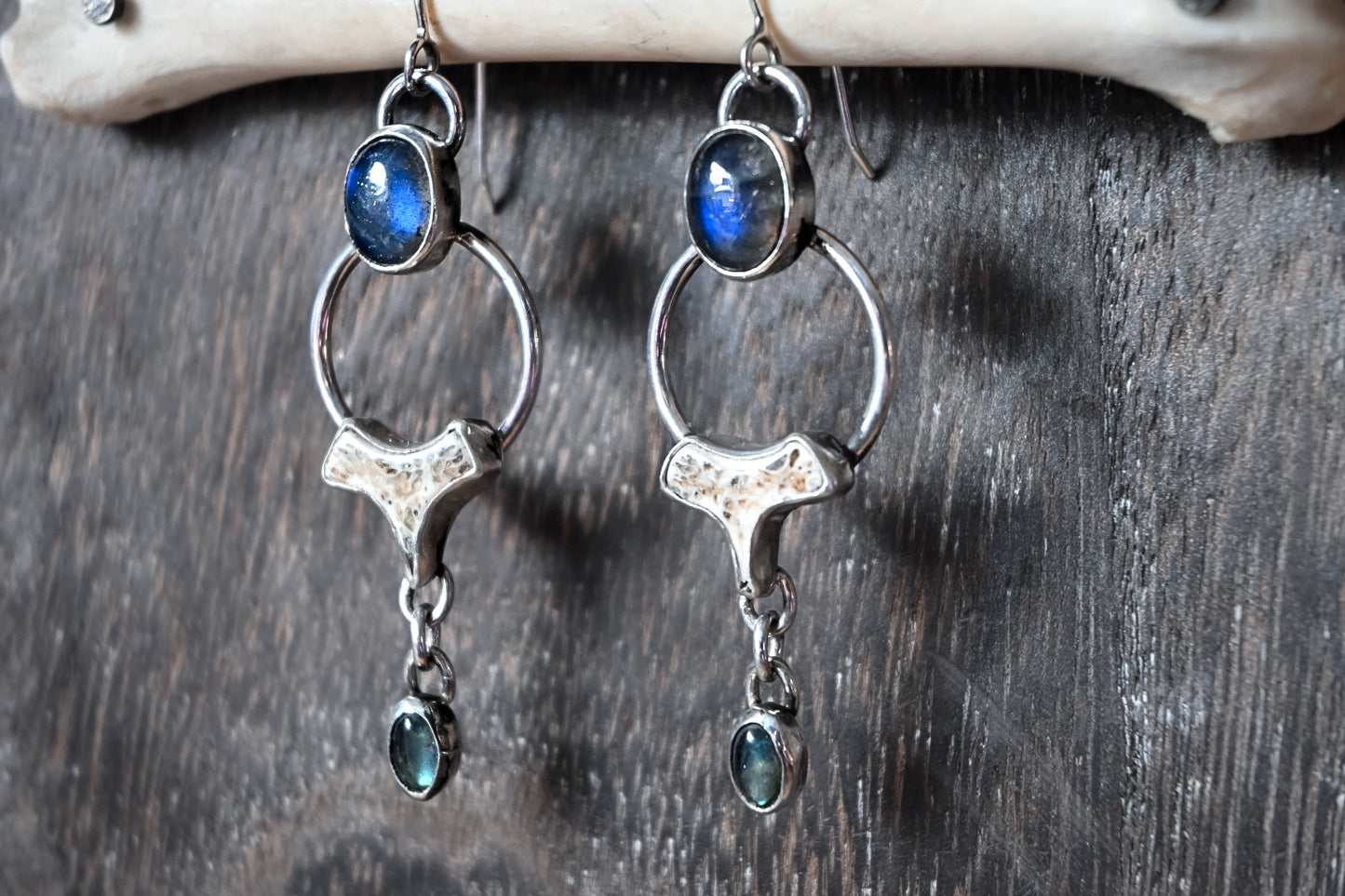 Polished Vertebrae & Labradorite Earrings