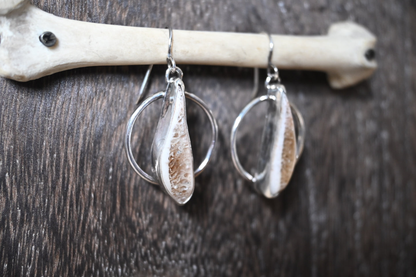 Polished Rib Earrings