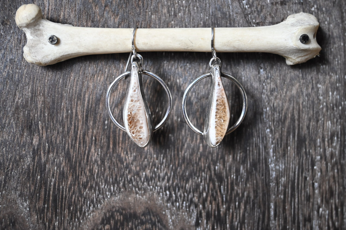 Polished Rib Earrings