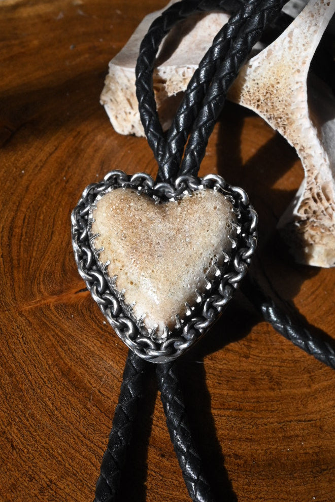 Heart Shaped Bone Bolo Tie