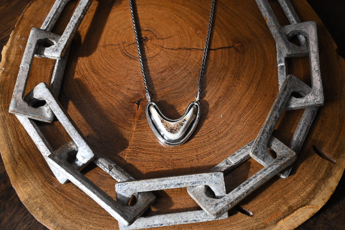 Polished Vertebrae Necklace