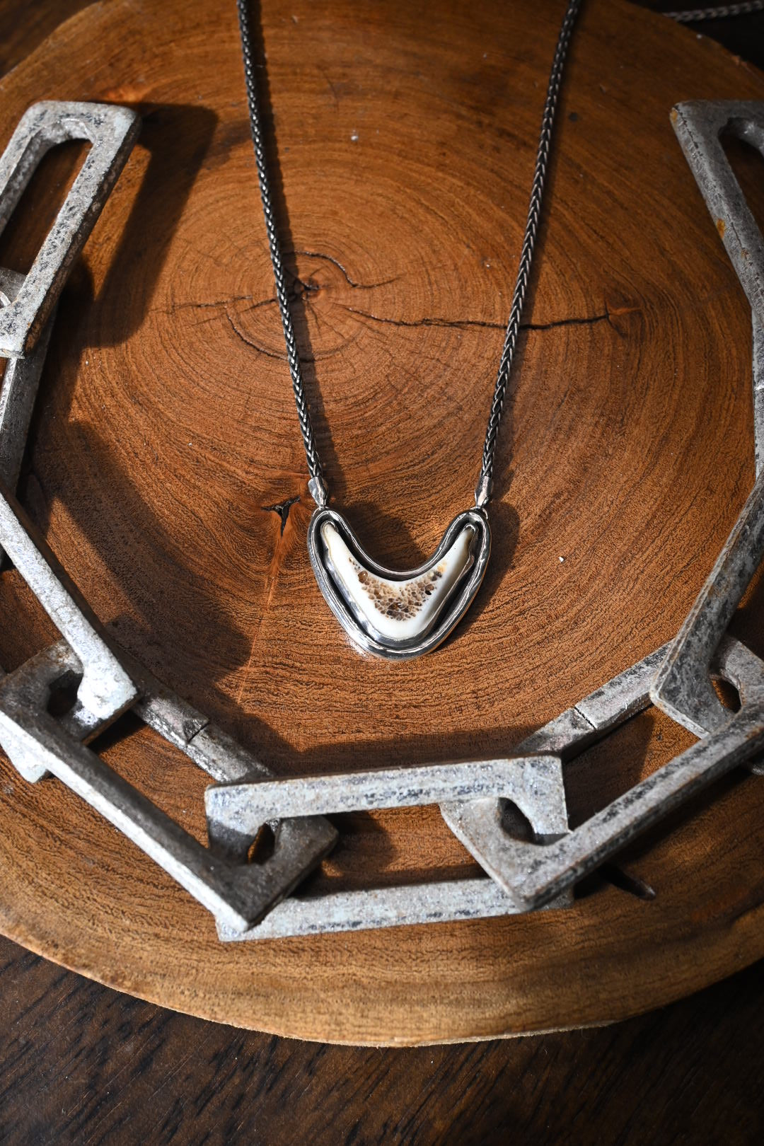 Polished Vertebrae Necklace