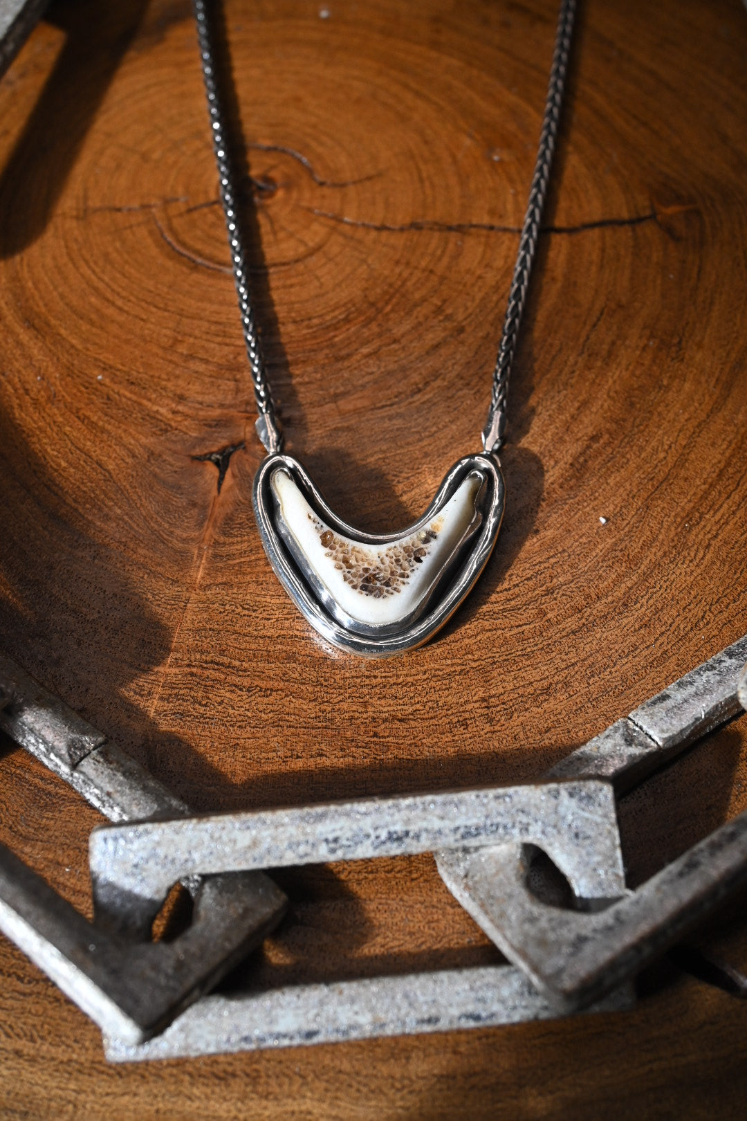 Polished Vertebrae Necklace