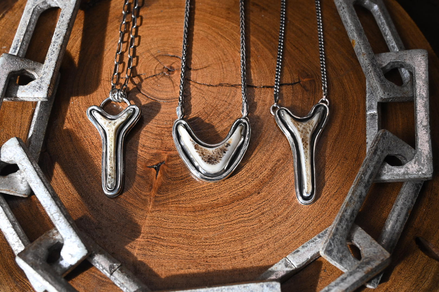 Polished Vertebrae Necklace