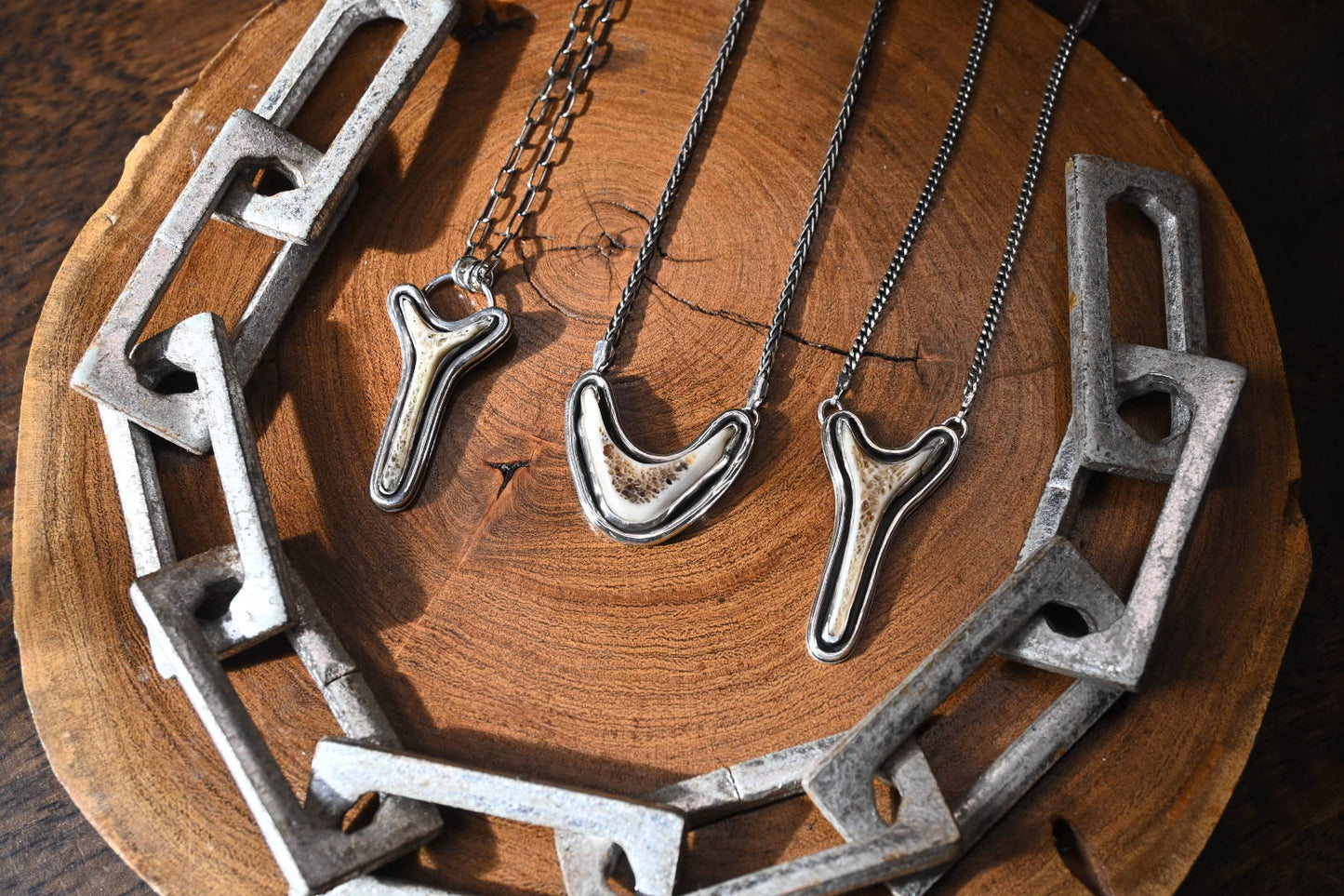 Polished Vertebrae Necklace