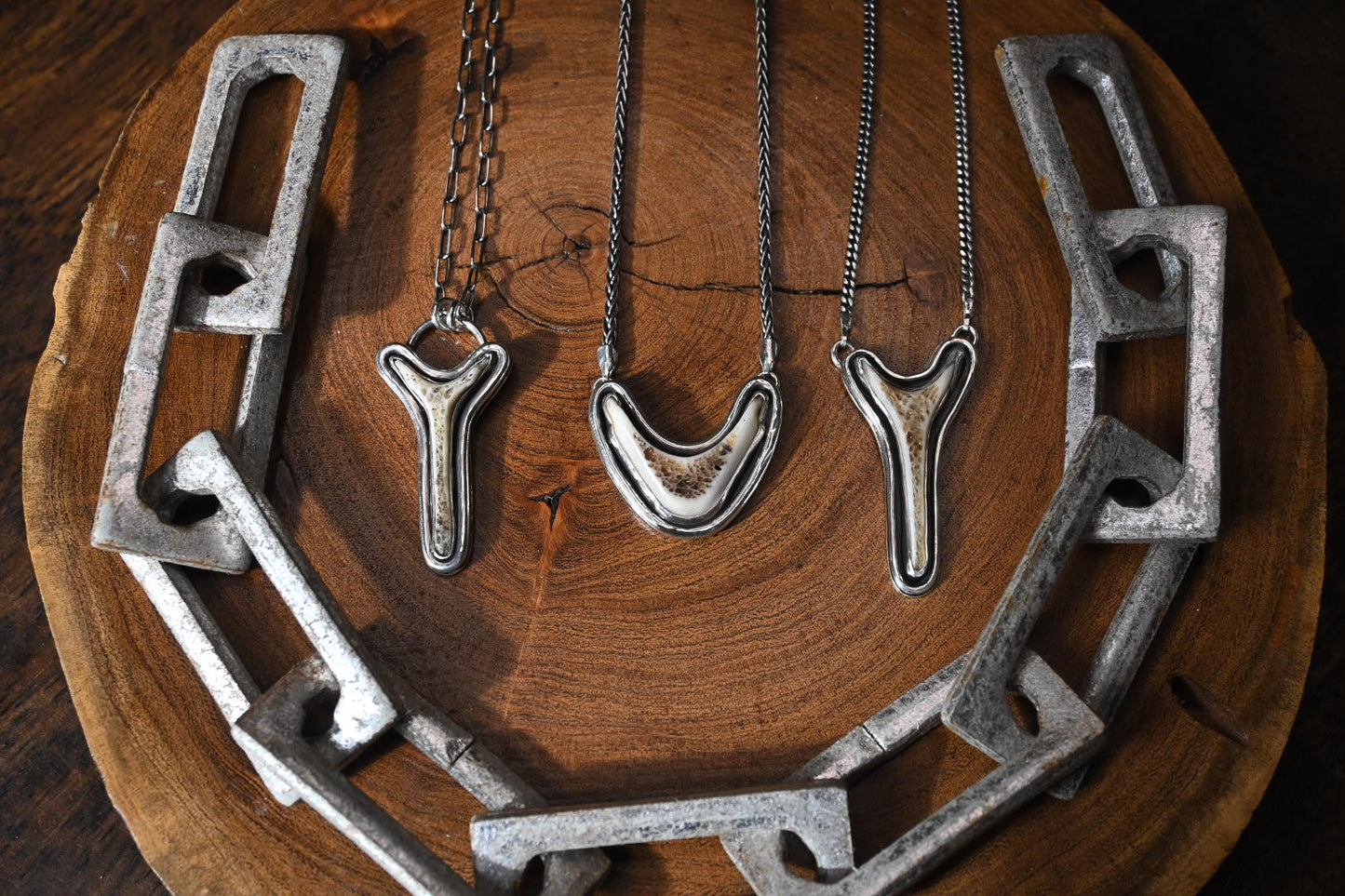 Polished Vertebrae Necklace