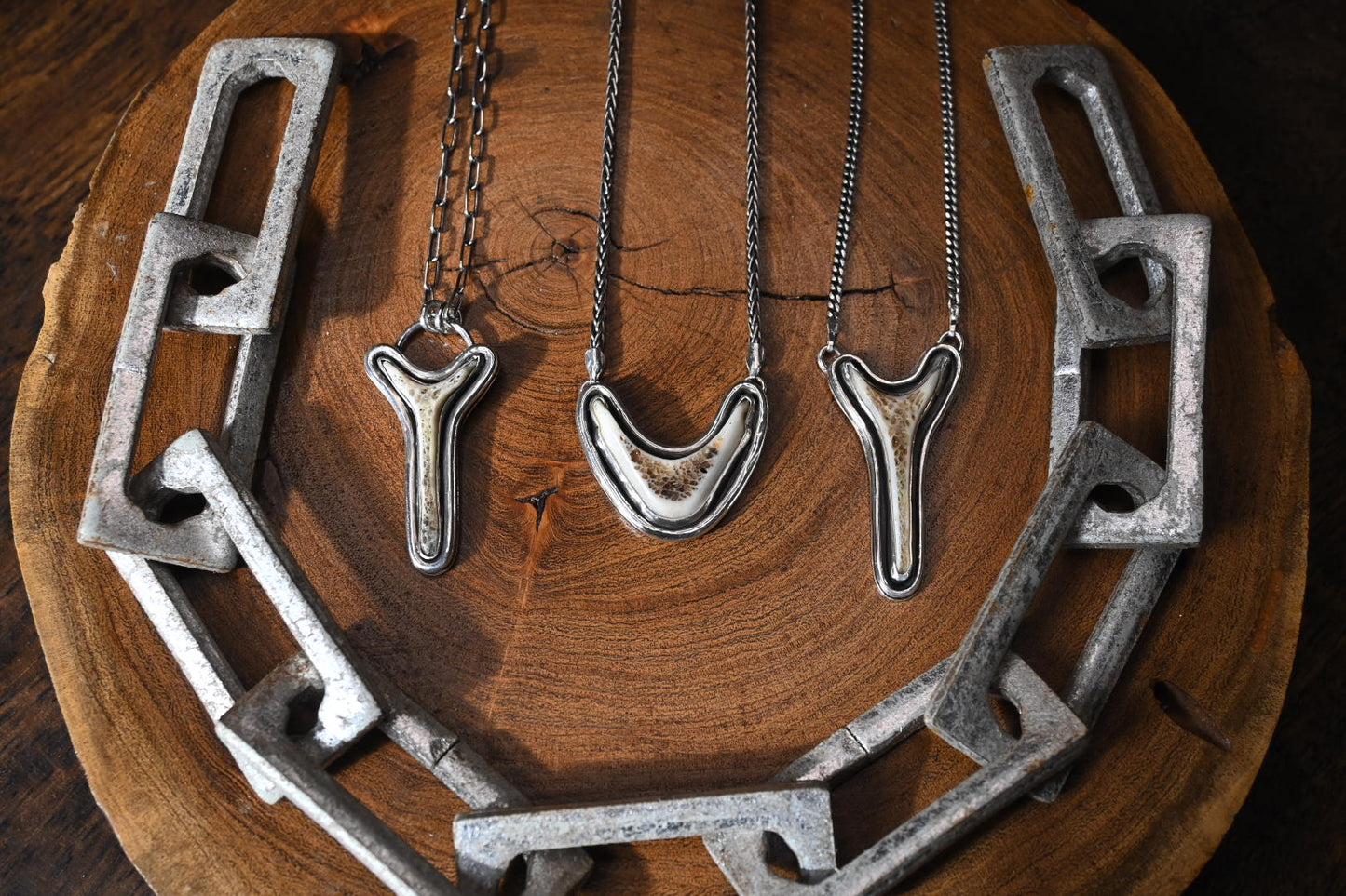 Polished Vertebrae Necklace