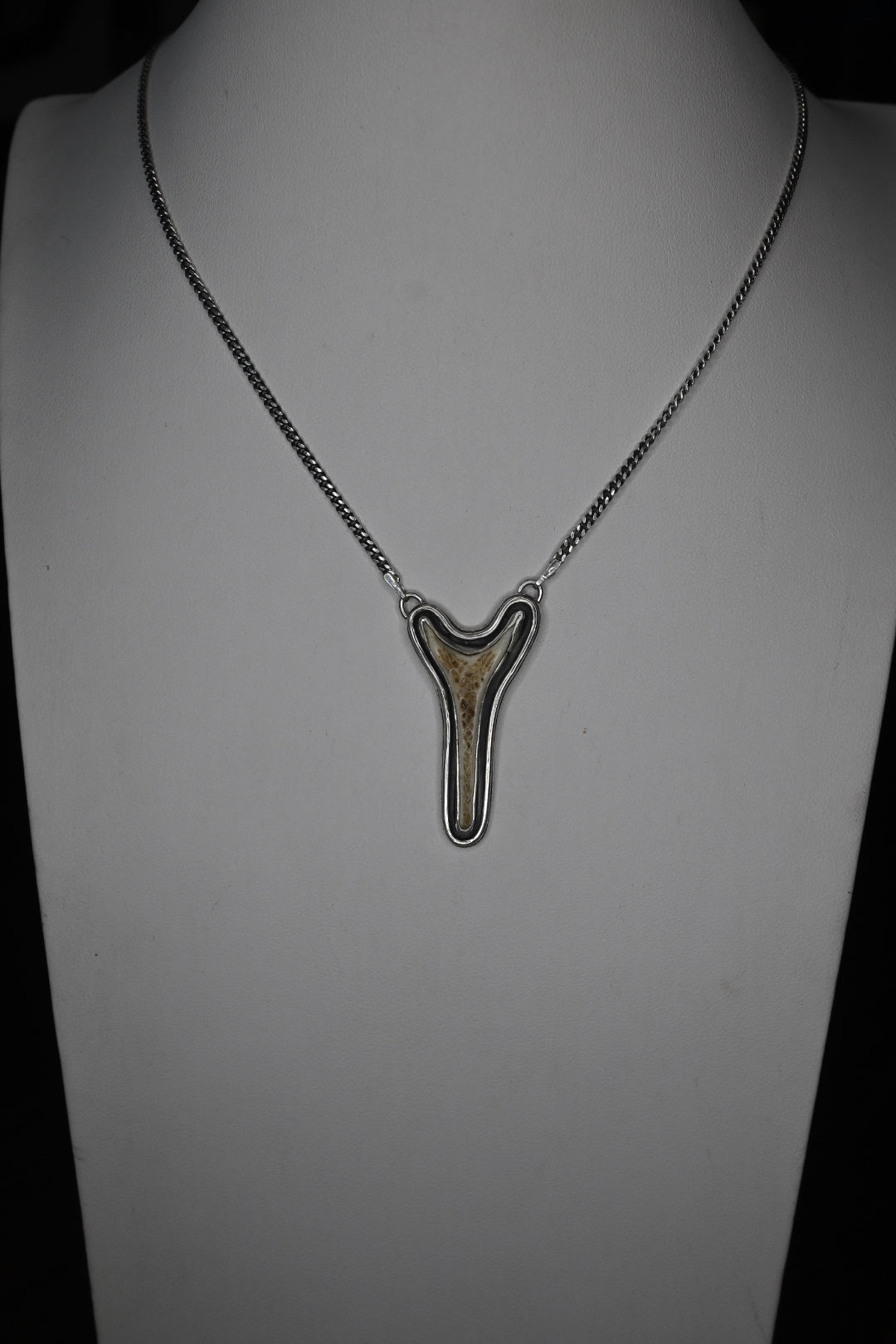 Polished Vertebrae Necklace