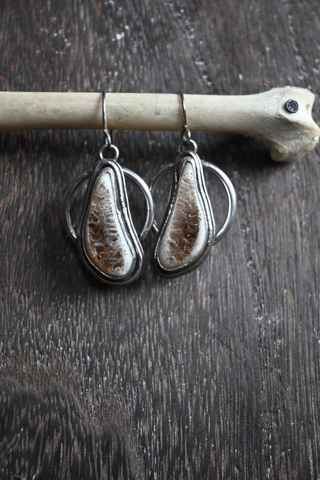 Polished Rib Earrings