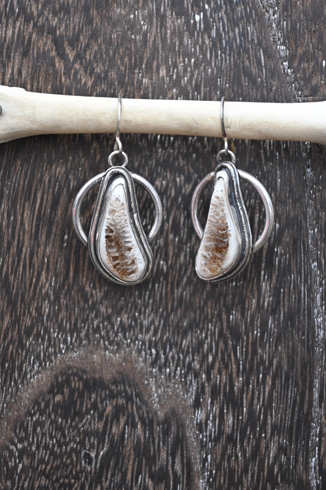 Polished Rib Earrings