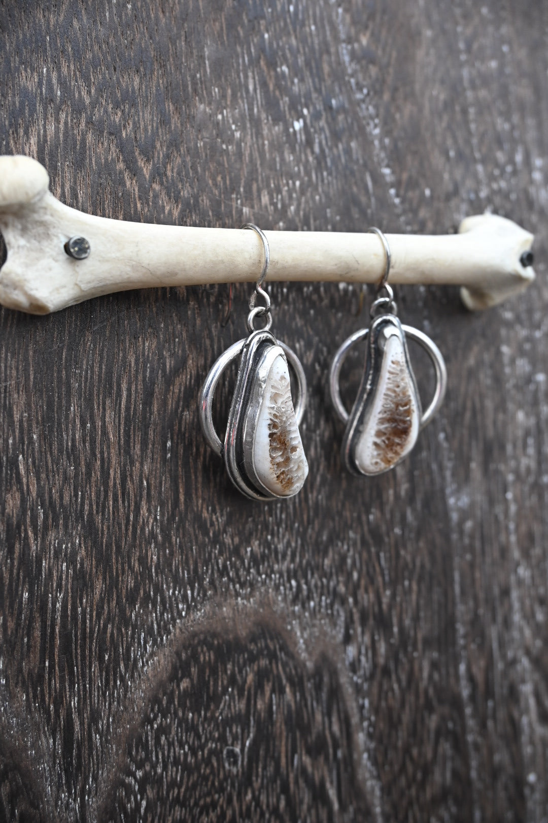 Polished Rib Earrings