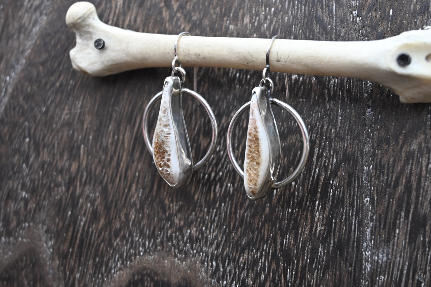 Polished Rib Earrings