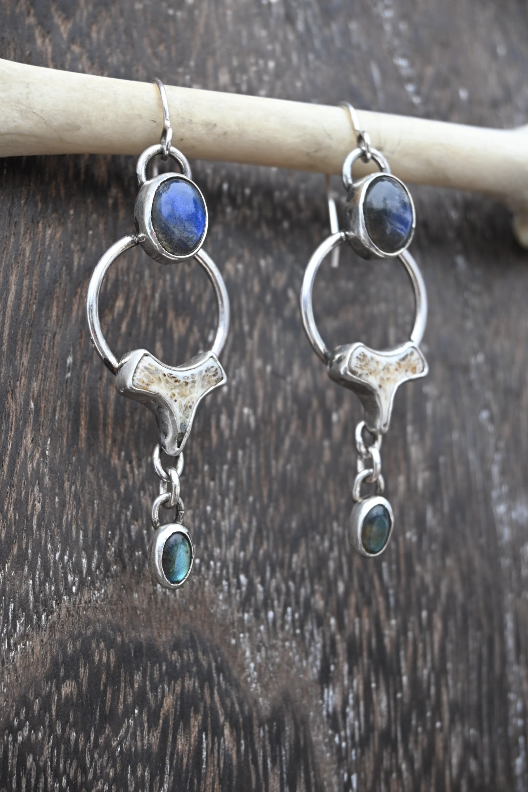 Polished Vertebrae & Labradorite Earrings