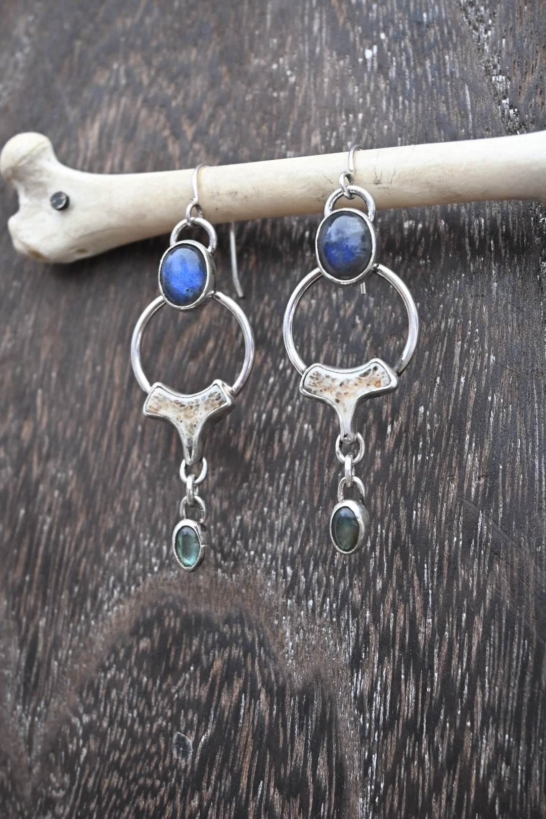 Polished Vertebrae & Labradorite Earrings