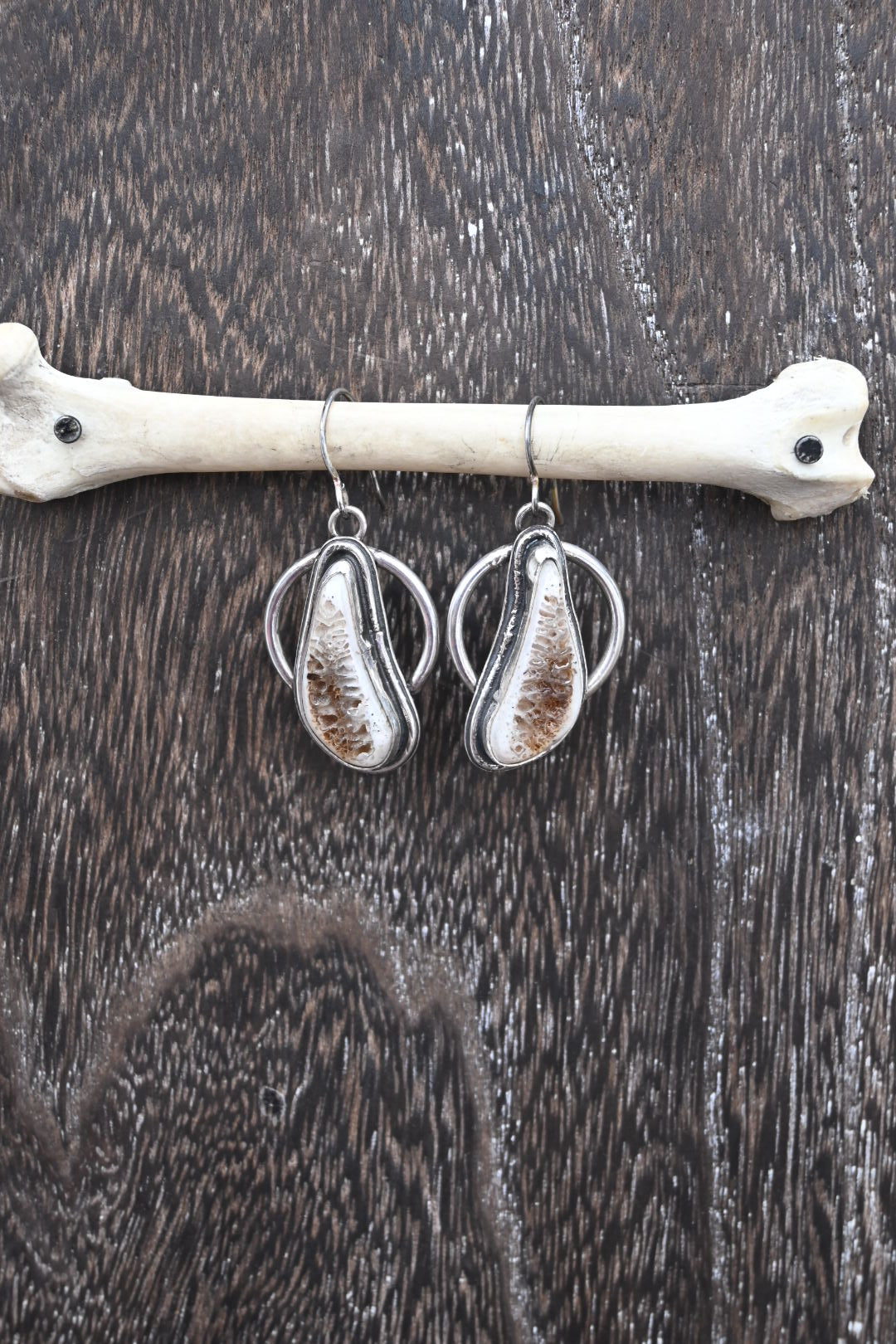 Polished Rib Earrings