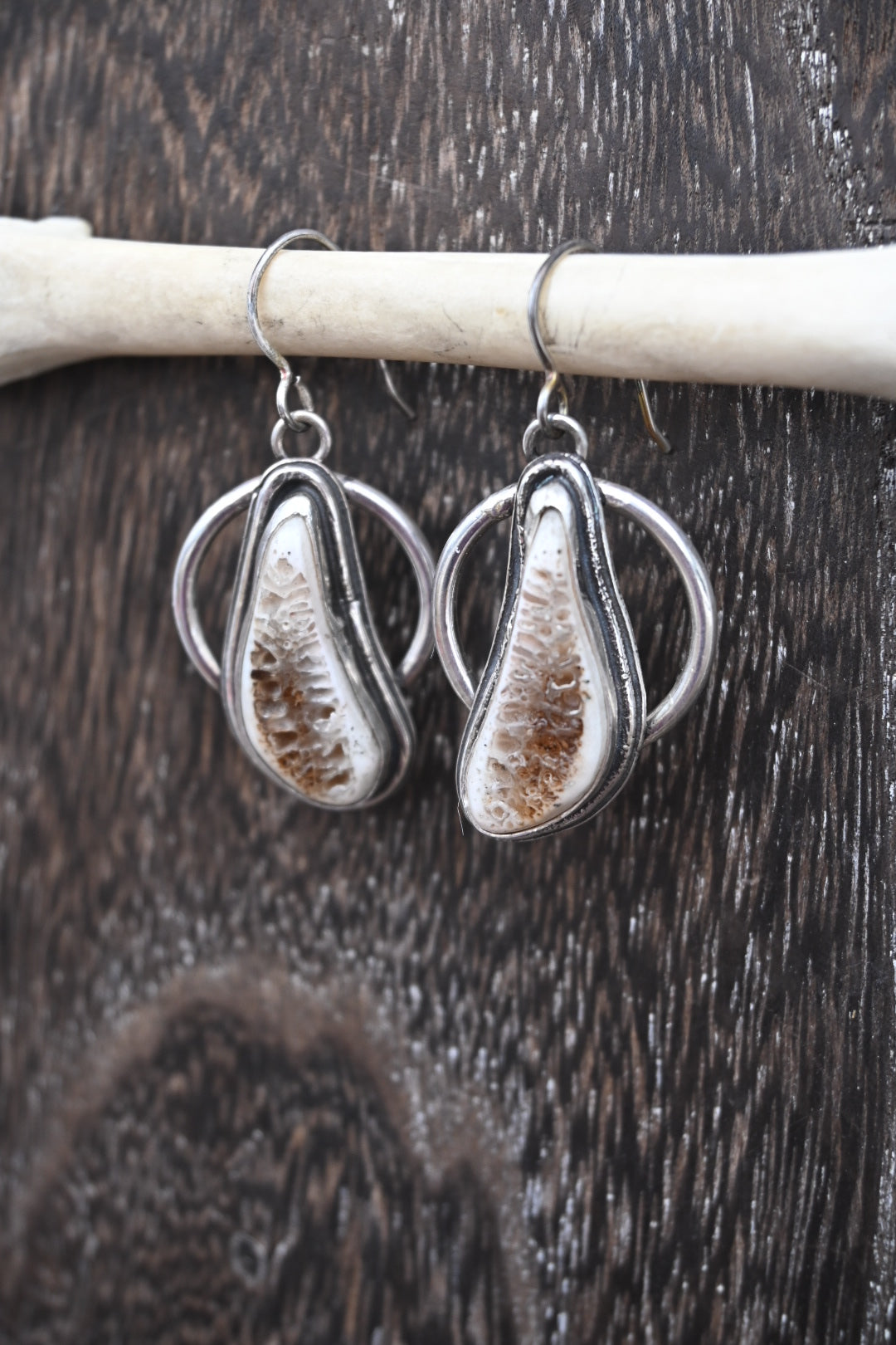 Polished Rib Earrings