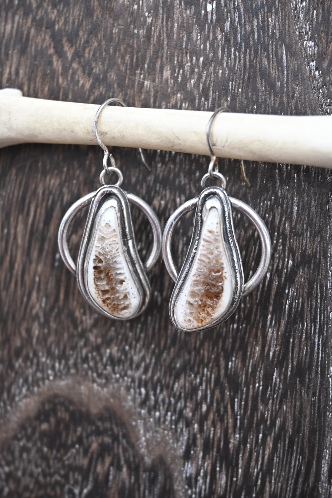 Polished Rib Earrings