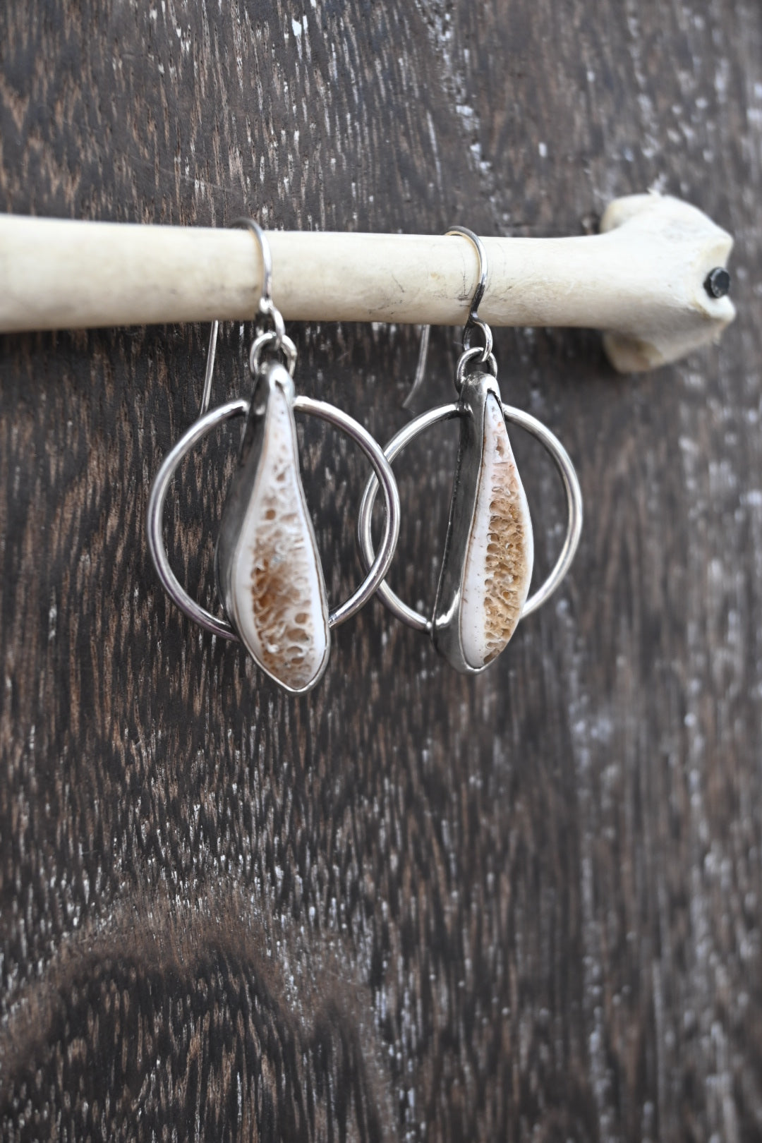 Polished Rib Earrings