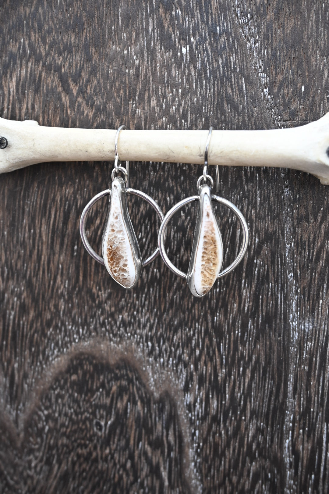 Polished Rib Earrings